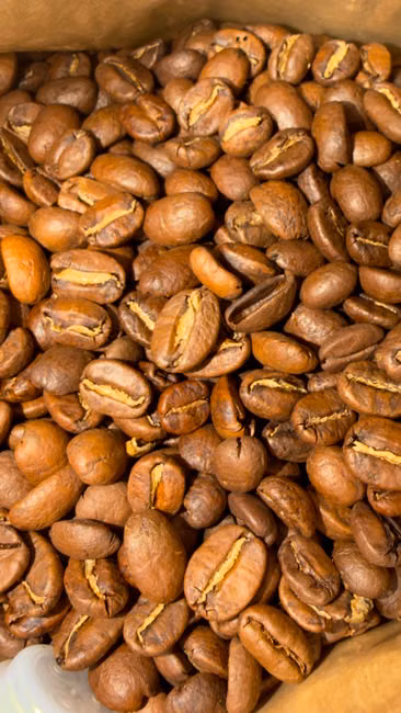 Água Sanitária (2L)